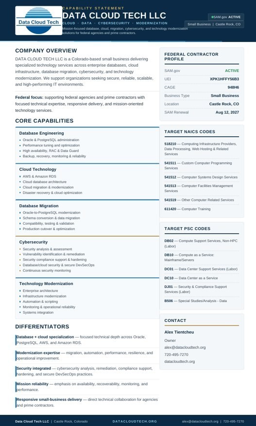 DATA CLOUD TECH capability statement preview